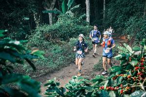 BIB: 
                            <button type="button" onclick="openModal(25795908)" class="btn btn-primary btn-sm float-right btn-popup" data-toggle="modal" data-target=".modal-high-quality">
                        <i class="fas fa-shopping-cart"></i> Add to Cart
                    </button>
                                            <button type="button" onclick="isThisMe(25795908, true)" class="btn btn-success btn-sm float-right btn-popup btn-isme hidden" data-toggle="tooltip" data-placement="bottom" title="นี่คือรูปของคุณใช่ไหม คลิกที่นี่เพื่อเอาเข้าอัลบั้ม">
                        <i class="fas fa-plus"></i> Add to album
                    </button>
                    <button type="button" onclick="isThisMe(25795908, false)" class="btn btn-warning btn-sm float-right btn-popup btn-isnotme hidden">
                        <i class="fas fa-ban"></i> Remove from album
                    </button>